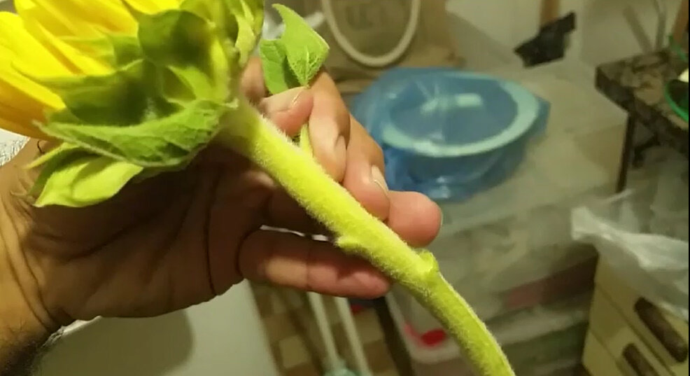 114 (194) - CLOSE WAYS ALL