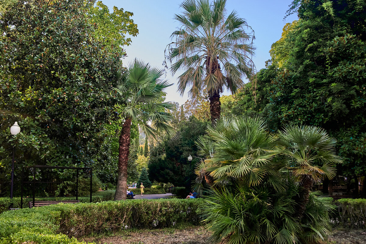 пальмы - Александр Леонов
