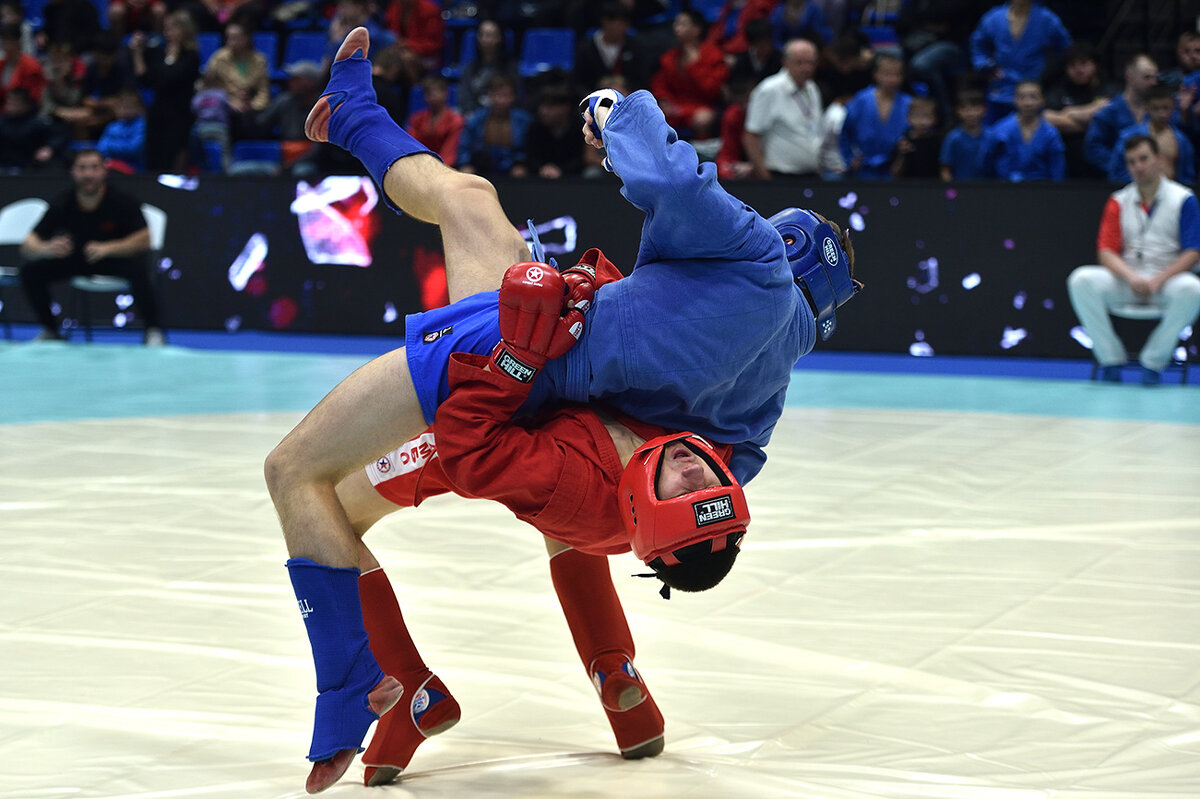 Боевое самбо - Александр Гриднев Боевое самбо - Александр Гриднев
