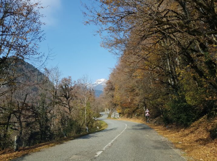 АБХАЗИЯ - Tata Wolf