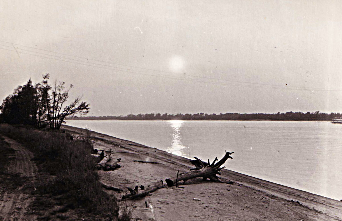 Знойный июль на Оби! - Владимир Знойный июль на Оби! - Владимир