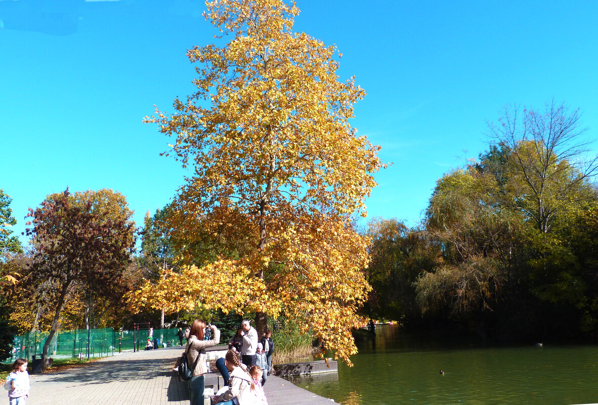 Осень золотая - Валентин Семчишин