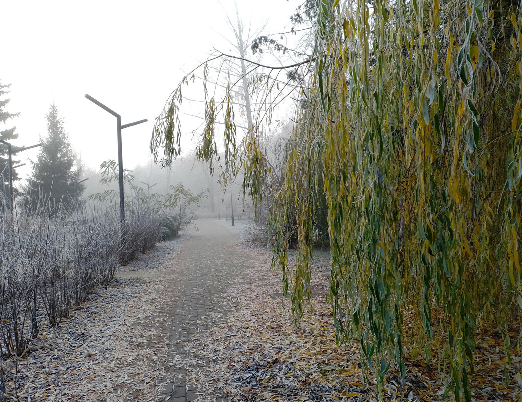 *** - Валентина Береснева *** - Валентина Береснева