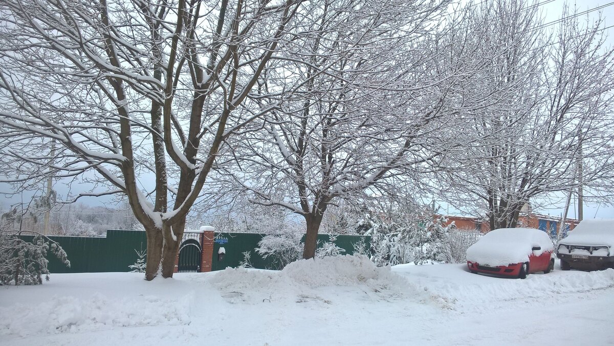 Зимой в с.Заворово - Елена Семигина Зимой в с.Заворово - Елена Семигина