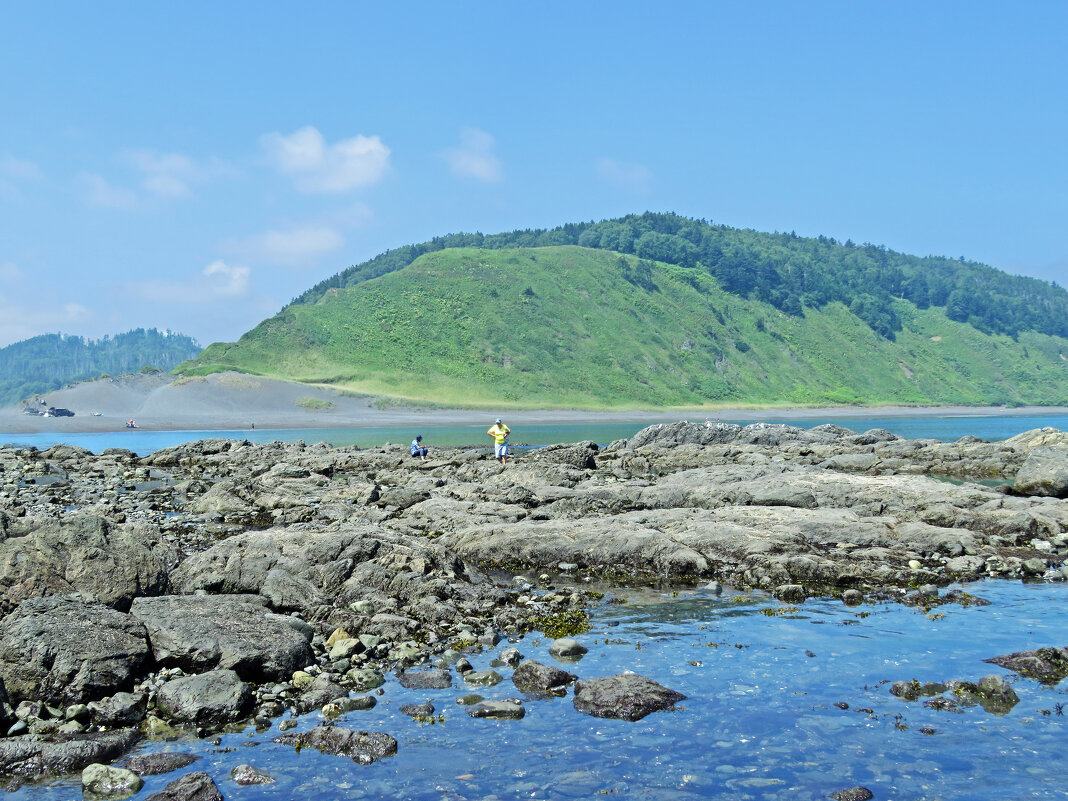 сбор морских ежиков - ИРЭН@ .