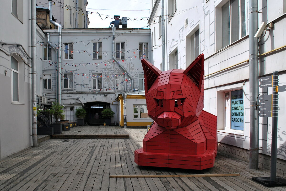 "Когда ничему не рад Учись у хвостатых, брат!" - AleksSPb Лесниченко