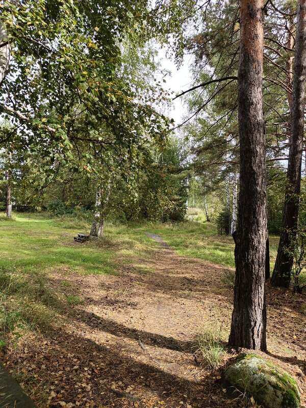 Осень - ura Зелев