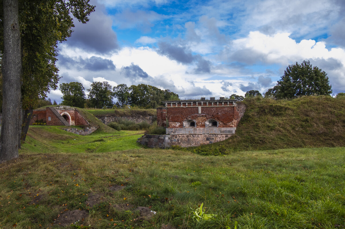 Б/Н - Николай 