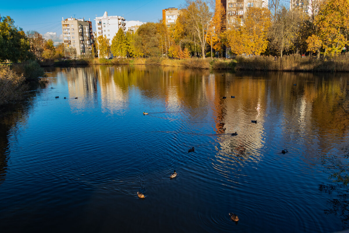 парк Александрино - navalon M