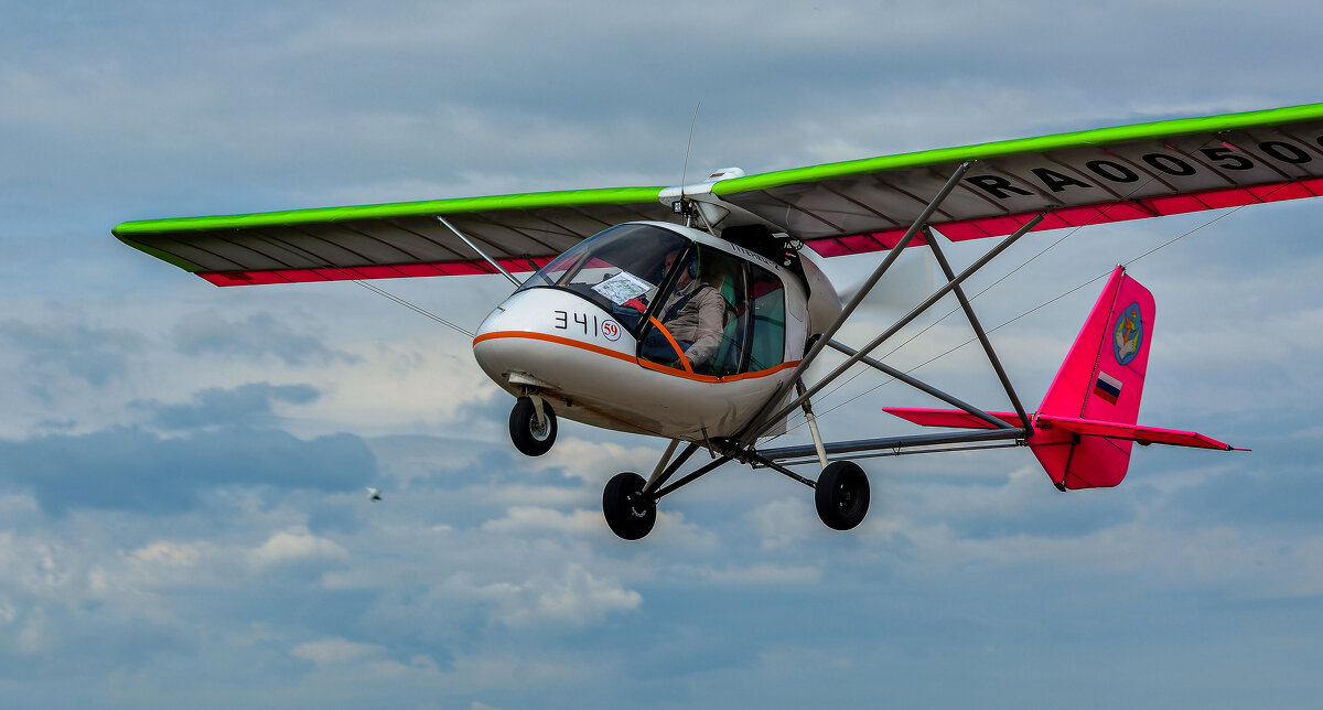 Птенец 2. - Сергей Воротников