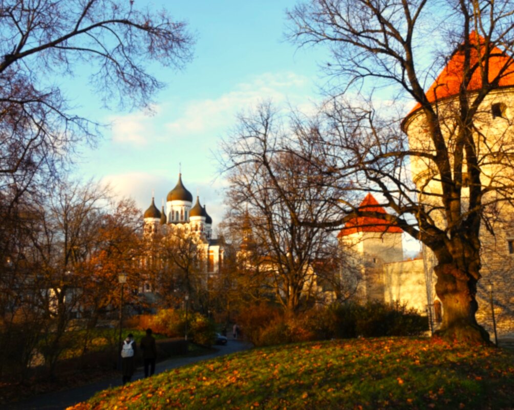 На горке Харью - Aida10 