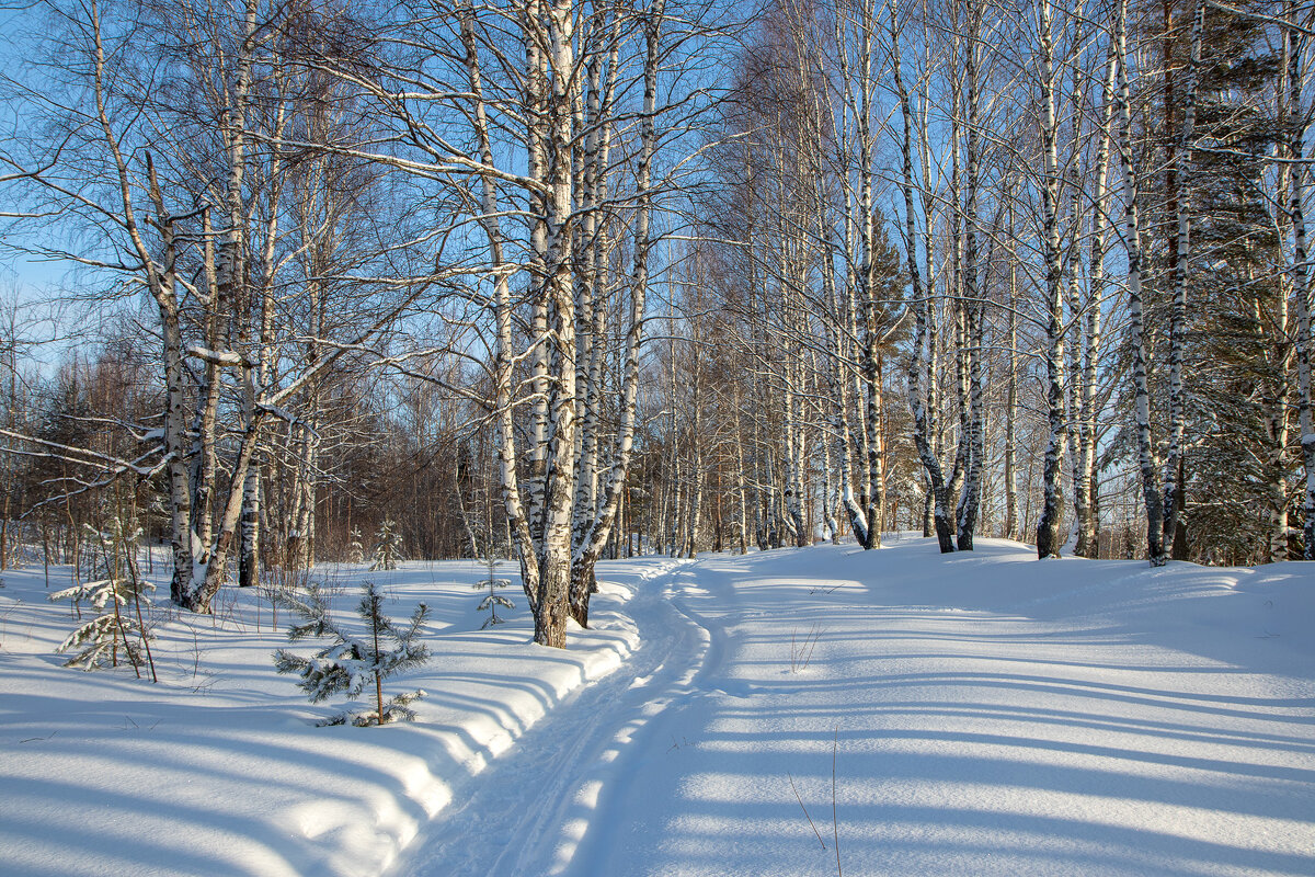 Тропа Здоровья. - Андрей Дурапов