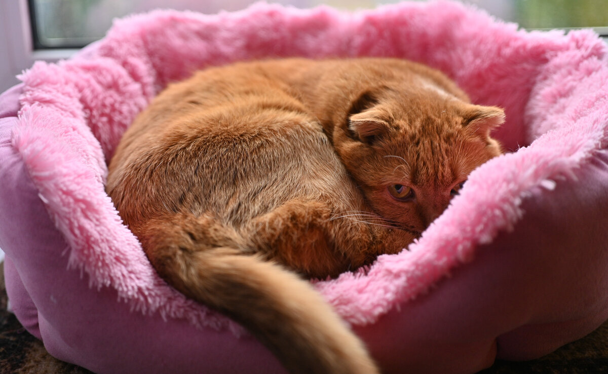 Моя прелесть - Вадим 