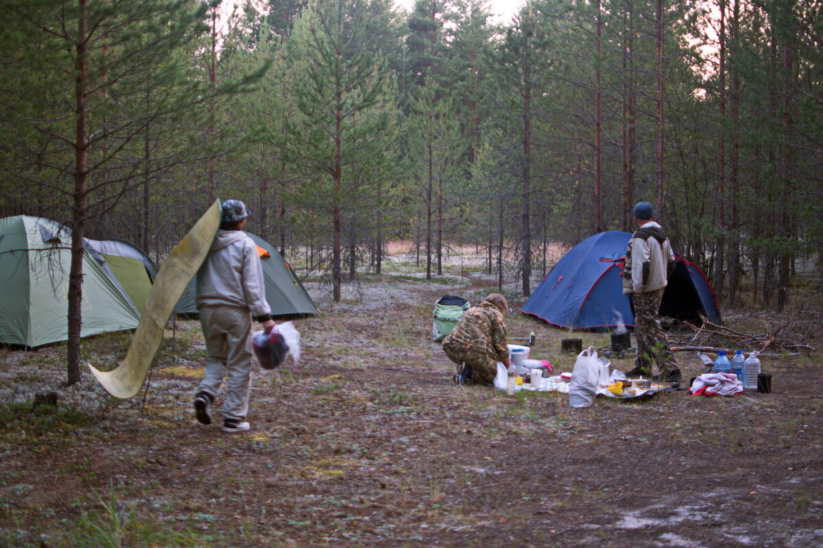 Ночёвка в дороге. - ВикТор Быстров Ночёвка в дороге. - ВикТор Быстров
