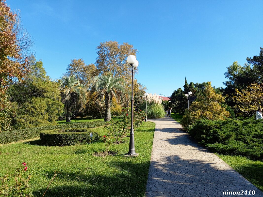 Адлер. Дендропарк "Южные культуры" - Нина Бутко