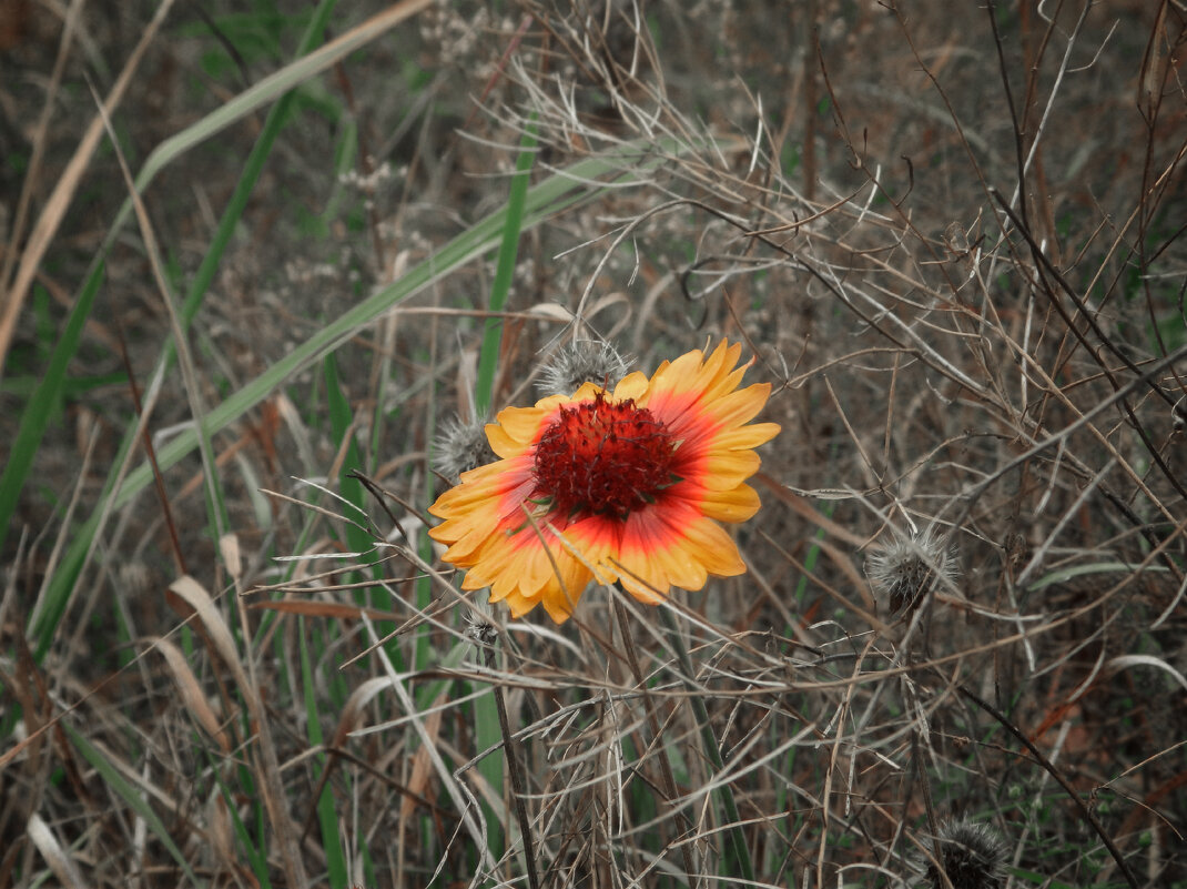 *** - Лера *** - Лера