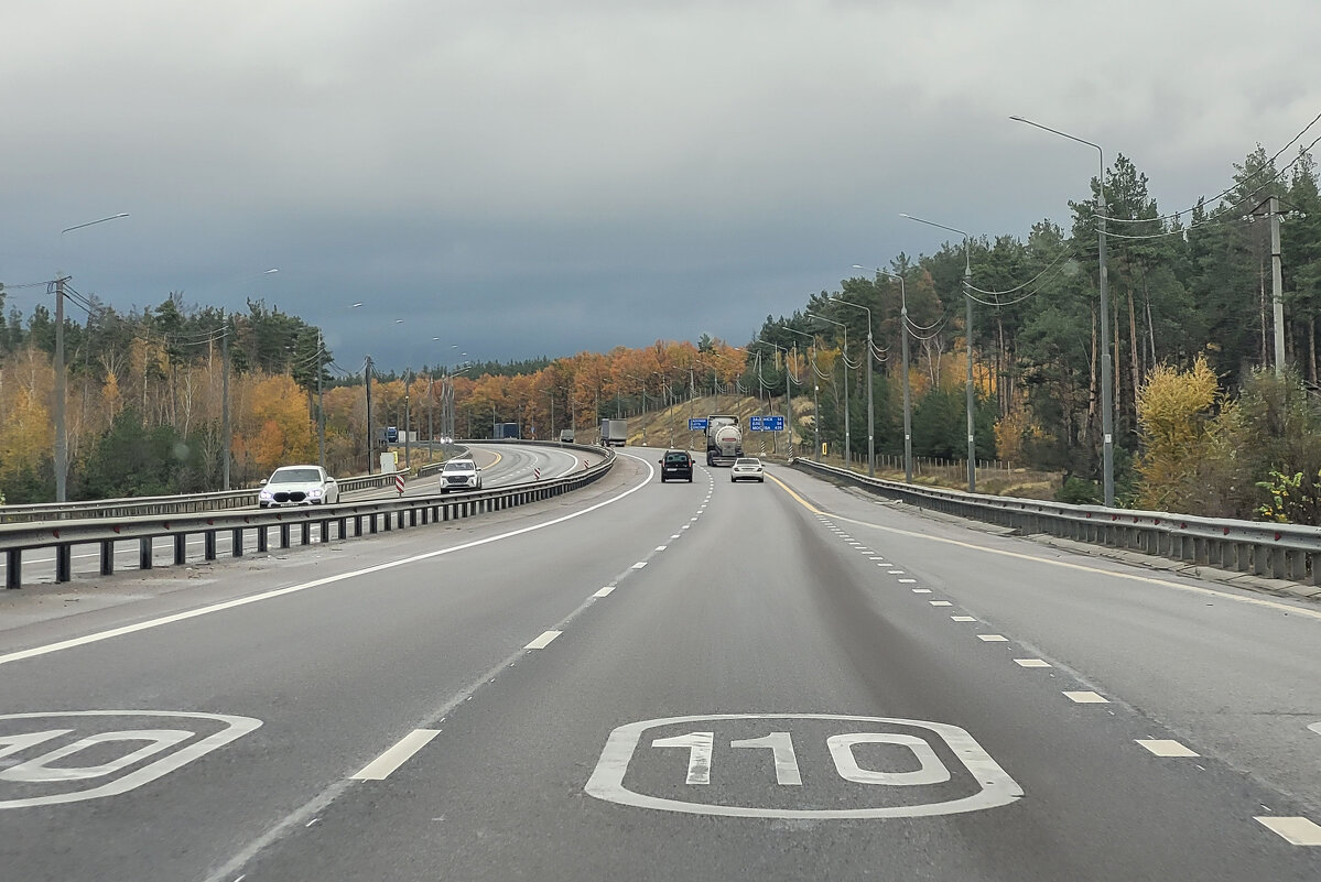 По дороге в Задонск - Татьяна Машошина