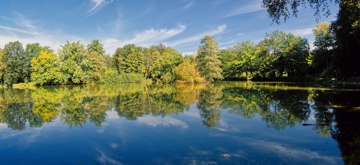 Рыбнфй пруд - Jakob Dick
