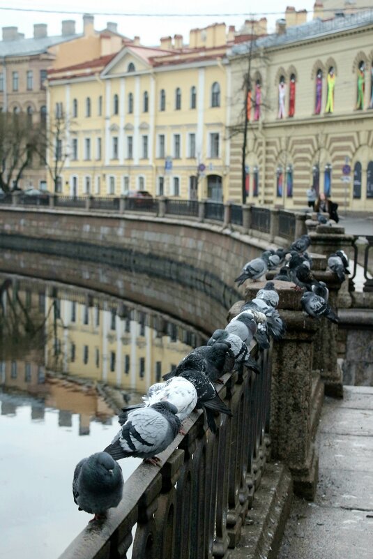 *** - Наталья Герасимова