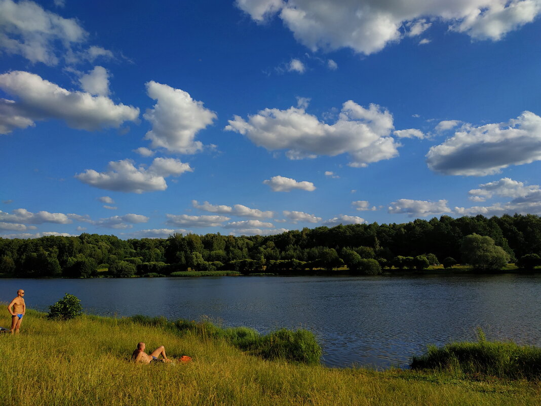 Лучше вспомните! - Андрей Лукьянов