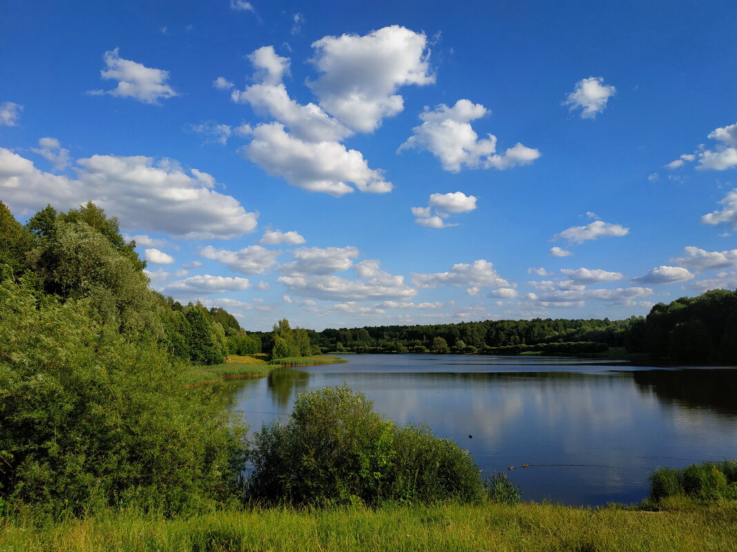А если вспомнить? - Андрей Лукьянов