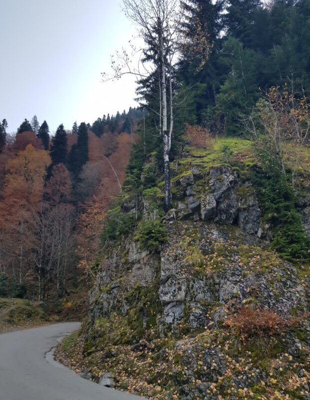 Абхазия - Tata Wolf