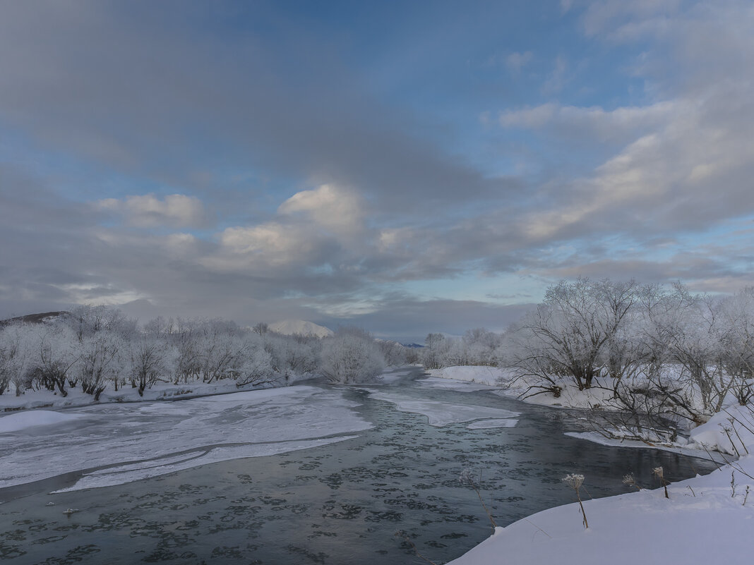 ... - Жора Житников