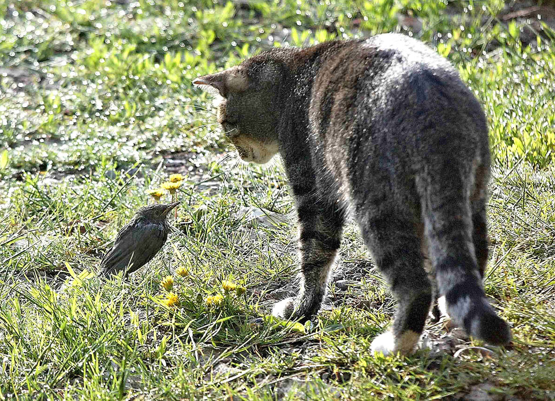 Момент истины - Михаил Белоусов Момент истины - Михаил Белоусов