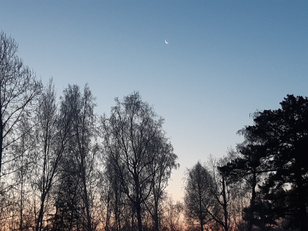 В ноябре рассветы дня - Галина Минчук В ноябре рассветы дня - Галина Минчук