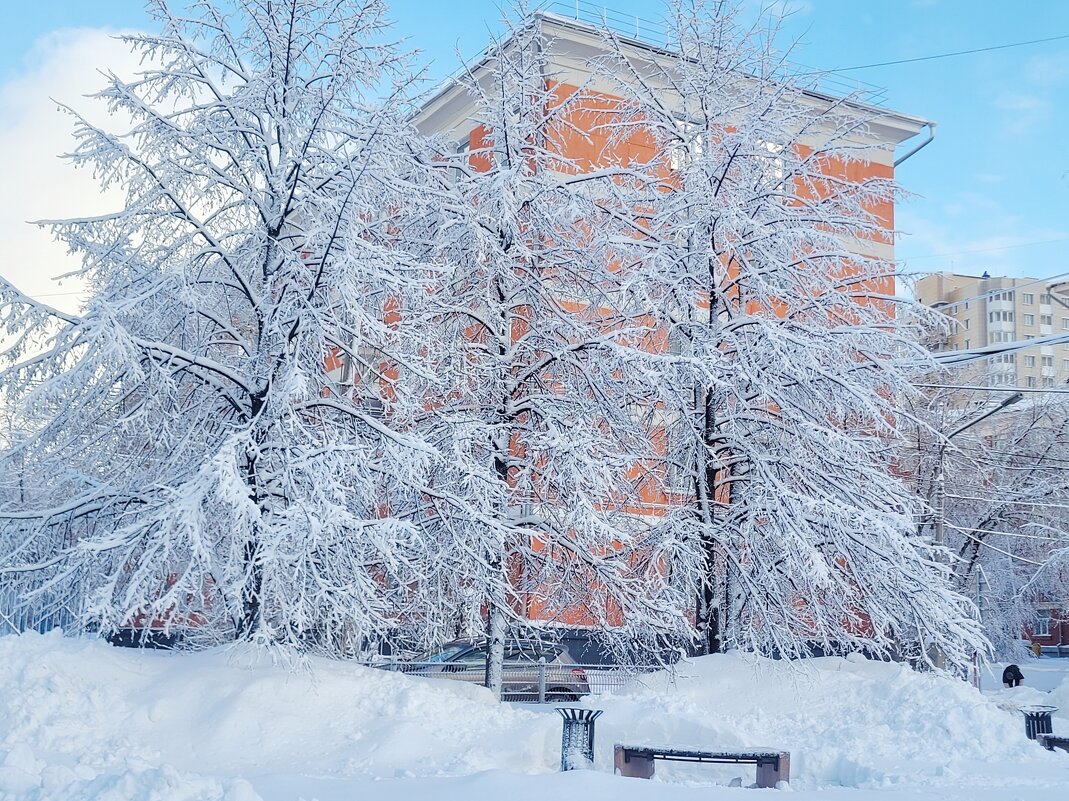 Учительский сквер в ноябре - Галина Нестратова Учительский сквер в ноябре - Галина Нестратова