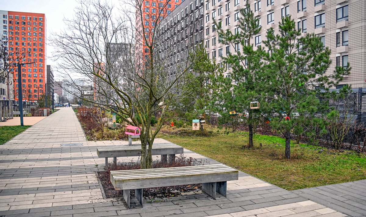 Кормушки готовы, а снега нет - Валерий Иванович