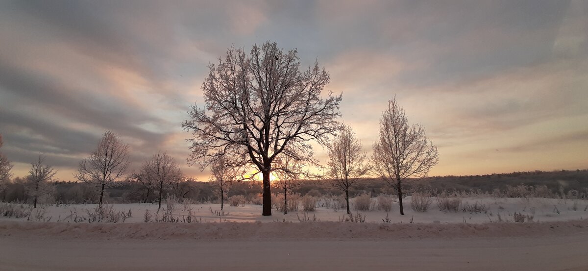 Вечернее - Олег Загорулько