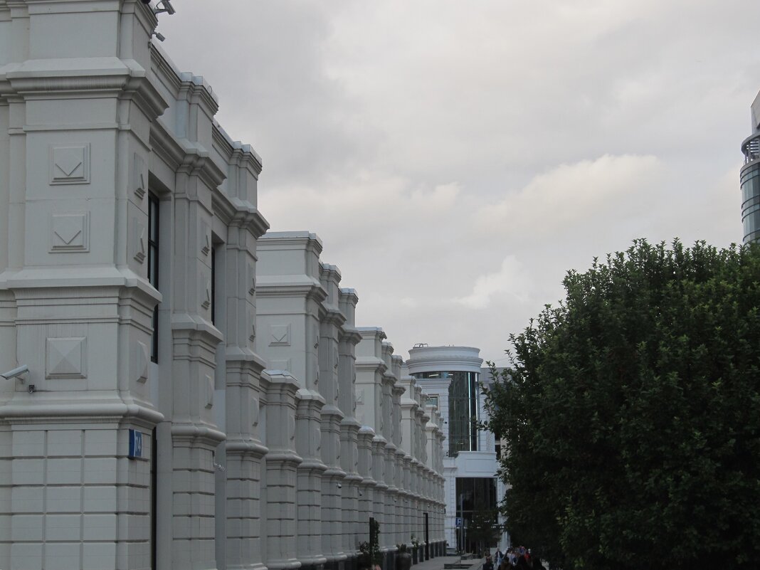 зарисовка - Елена Шаламова