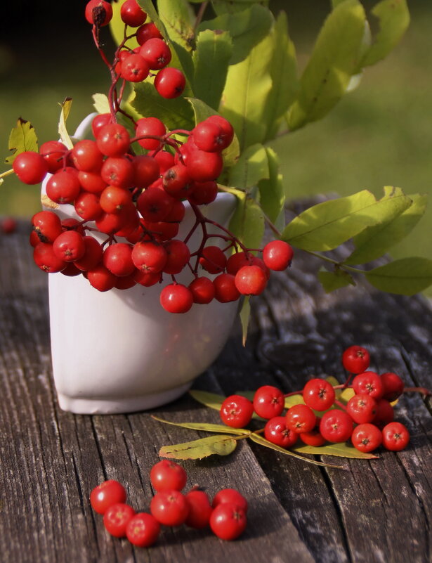 Летнего солнца тепло излучая.. - Татьян@ Ивановна