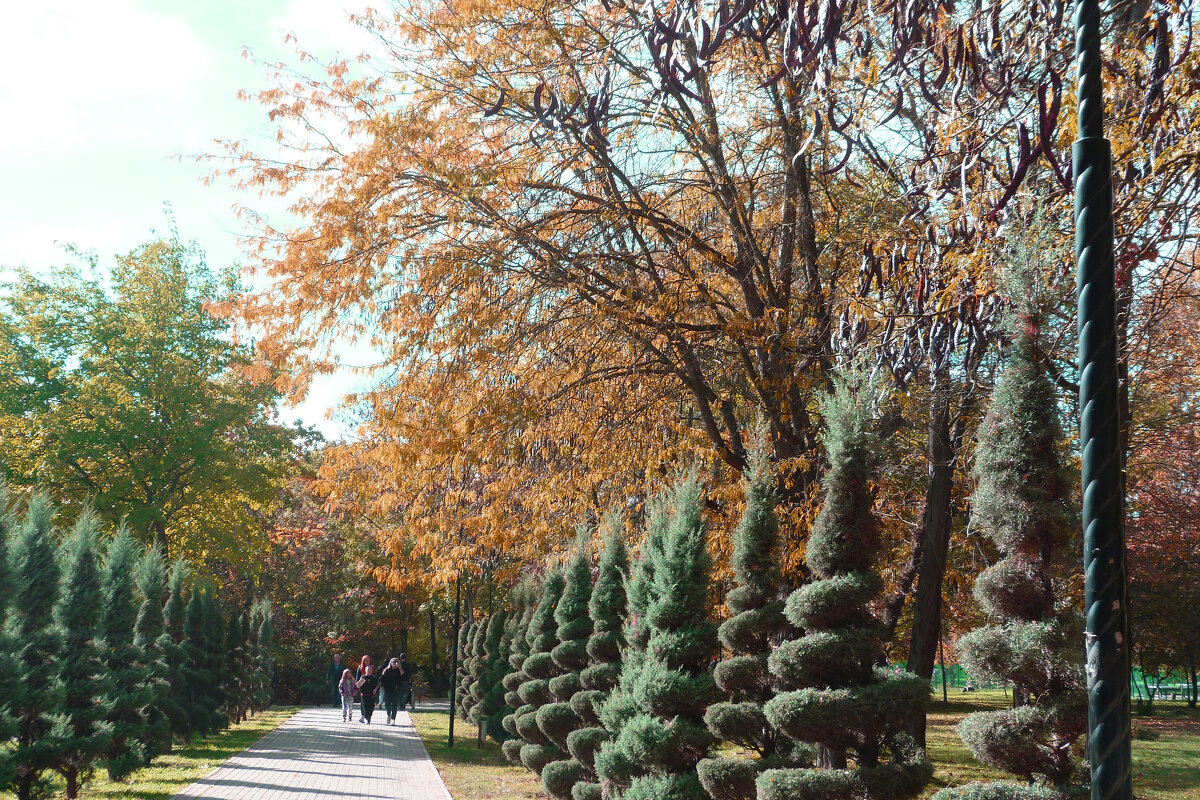 Аллея в парке Гагарина - Валентин Семчишин Аллея в парке Гагарина - Валентин Семчишин