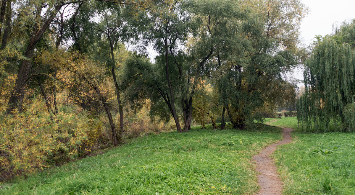 *** - Владимир Безбородов