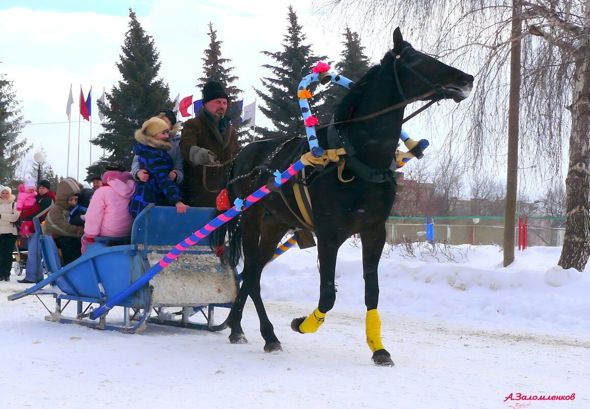 Когда-то мы на Катерину-санницу на саночках катались... - Андрей Заломленков Когда-то мы на Катерину-санницу на саночках катались... - Андрей Заломленков