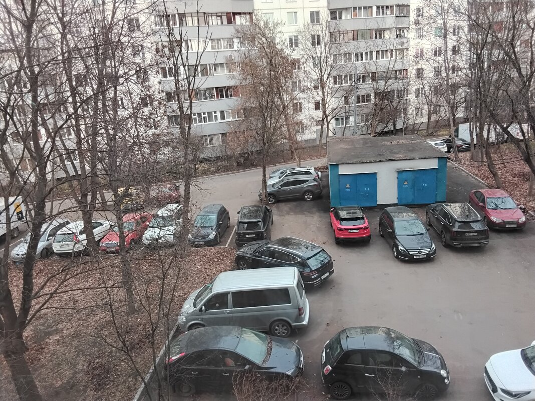 В нашем дворе в ноябре - Дмитрий Никитин В нашем дворе в ноябре - Дмитрий Никитин