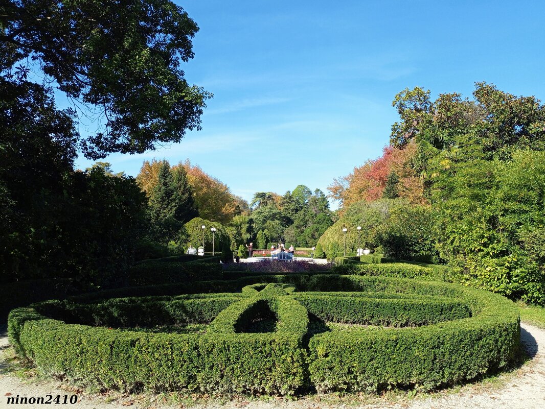 Адлер. Дендропарк "Южные культуры" - Нина Бутко Адлер. Дендропарк "Южные культуры" - Нина Бутко