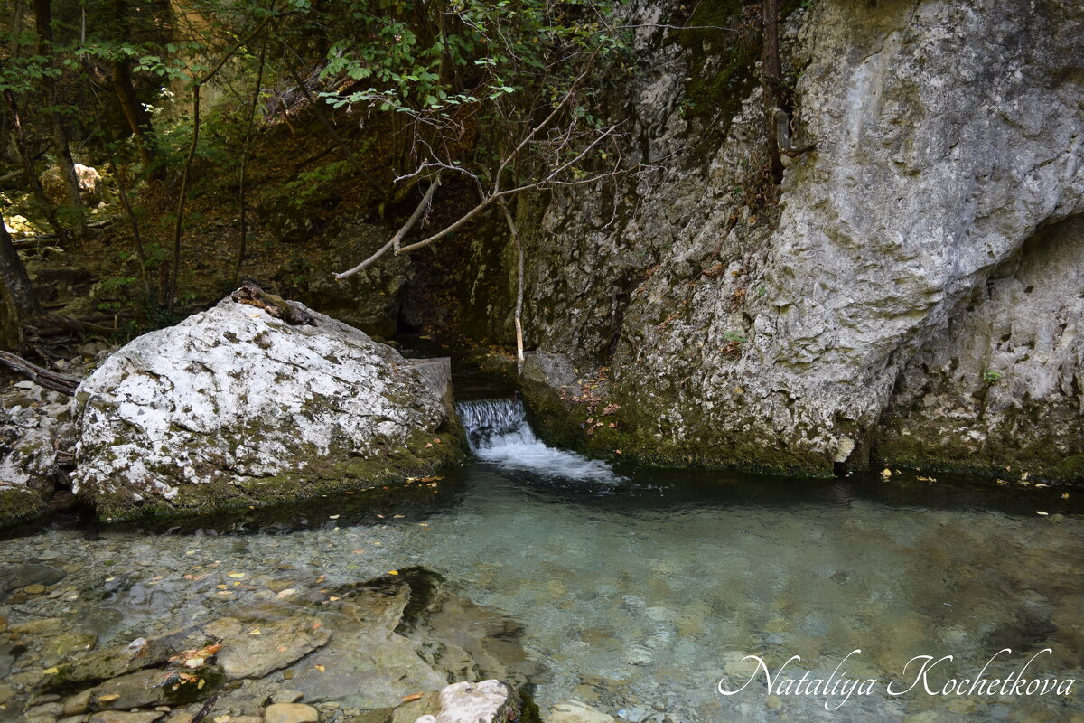 Природа Крыма - Amazing Cosmea Природа Крыма - Amazing Cosmea