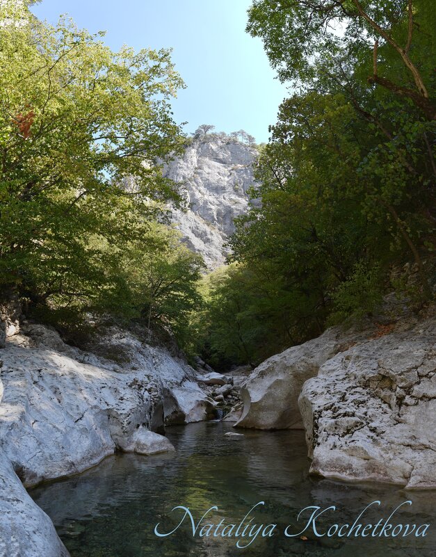 Природа Крыма - Amazing Cosmea Природа Крыма - Amazing Cosmea