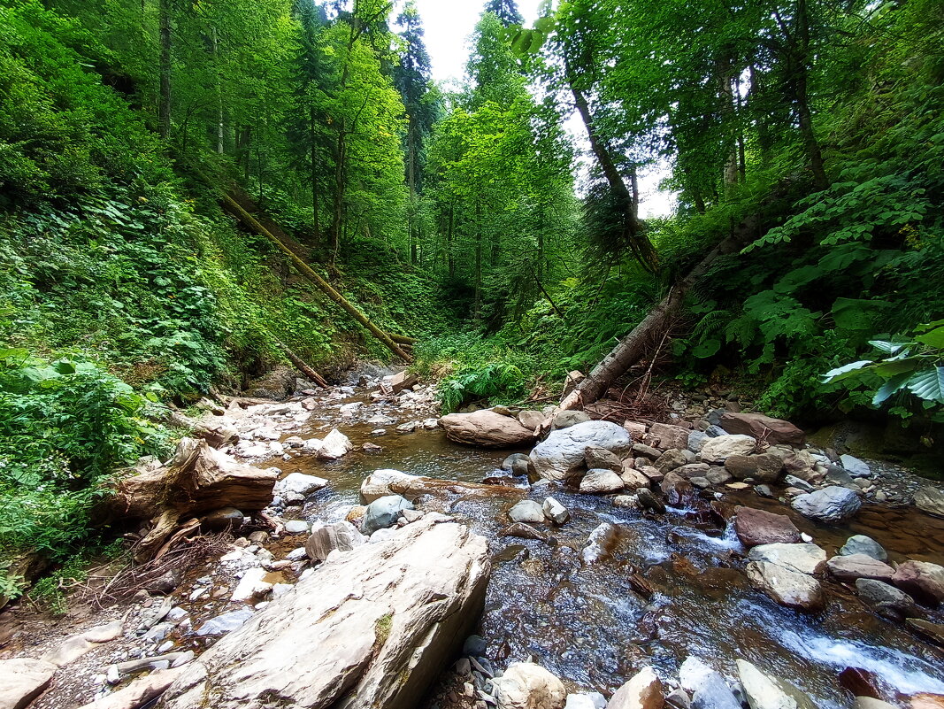 Горная речка - Павел Трунцев Горная речка - Павел Трунцев
