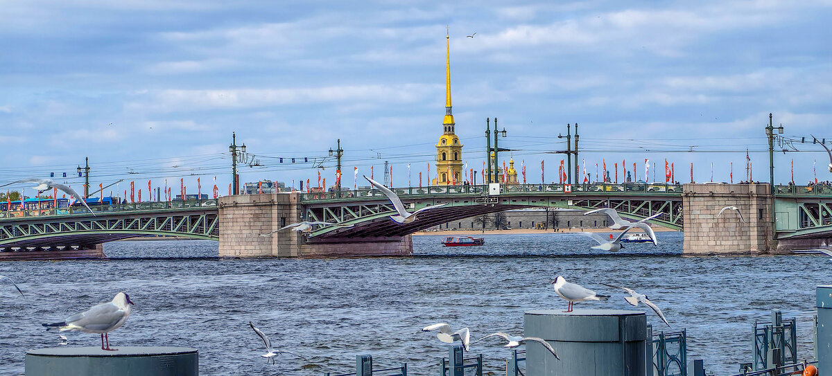 Санкт-Петербург, Дворцовый мост, Петропавловский шпиль - Стальбаум Юрий Санкт-Петербург, Дворцовый мост, Петропавловский шпиль - Стальбаум Юрий
