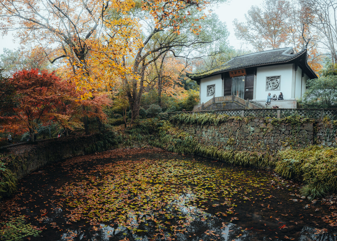 Парк "Источник Хупао," или "Источник тигра" - Дмитрий Парк "Источник Хупао," или "Источник тигра" - Дмитрий
