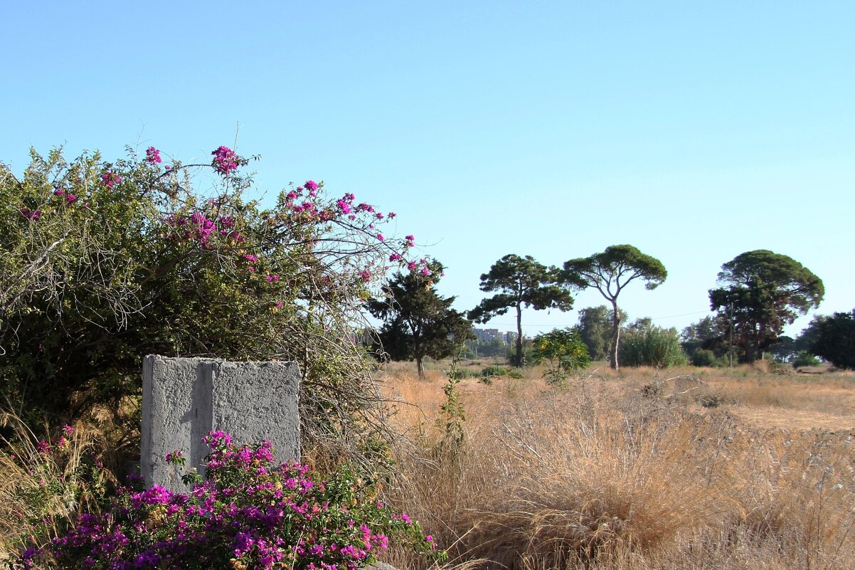 Турция район Кемер - Gen Vel Турция район Кемер - Gen Vel