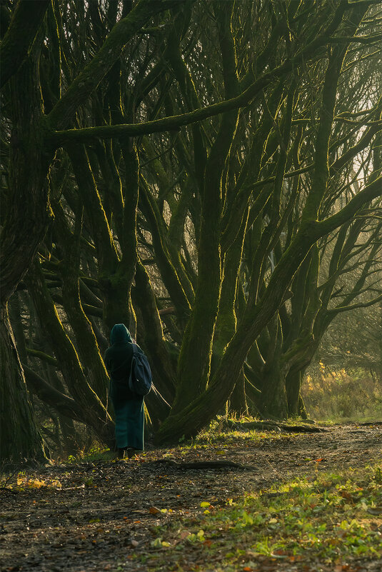 Поздняя осень - Michel 