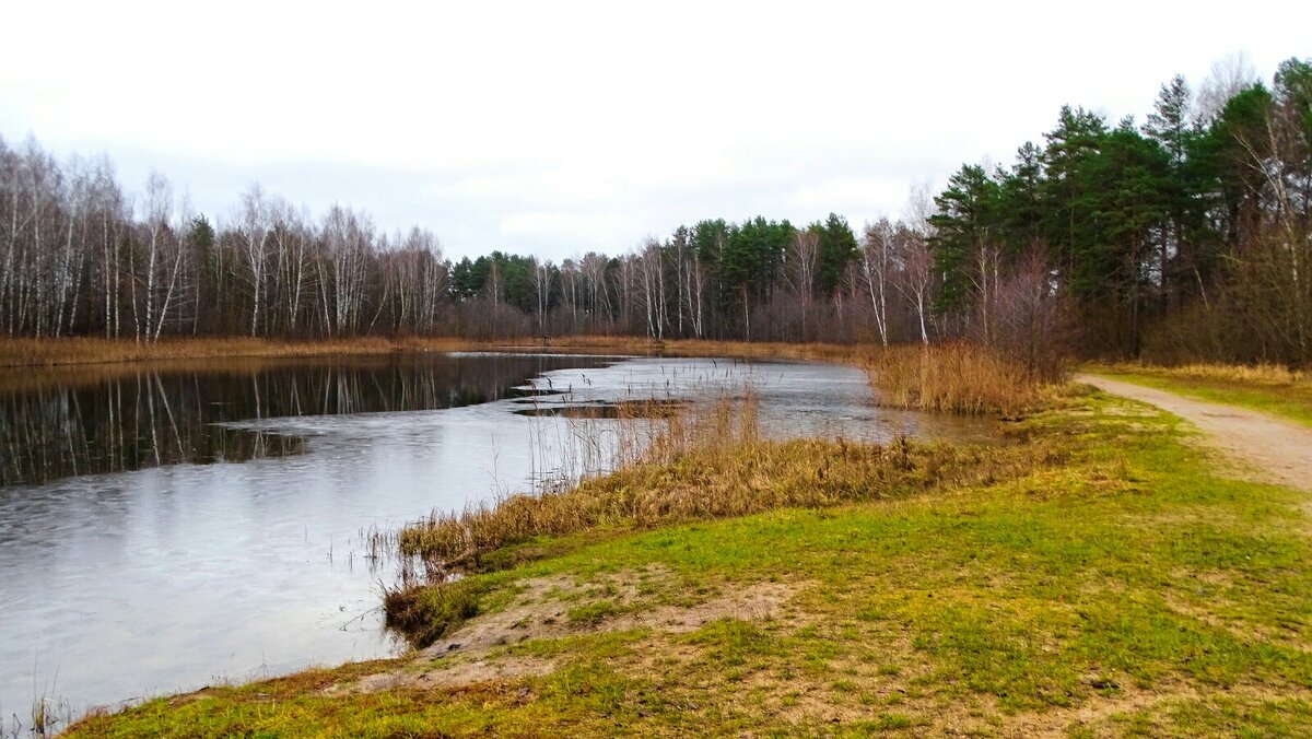 Зима, похожая на осень. - Милешкин Владимир Алексеевич Зима, похожая на осень. - Милешкин Владимир Алексеевич