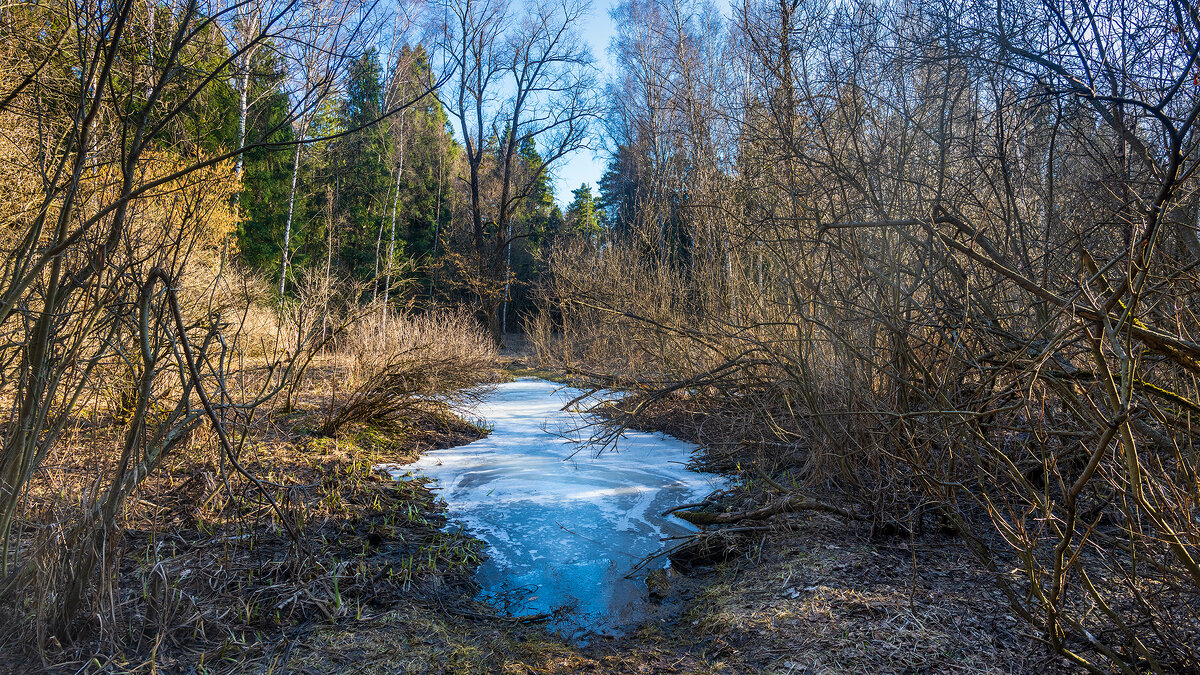 Весна - Владимир Лазарев