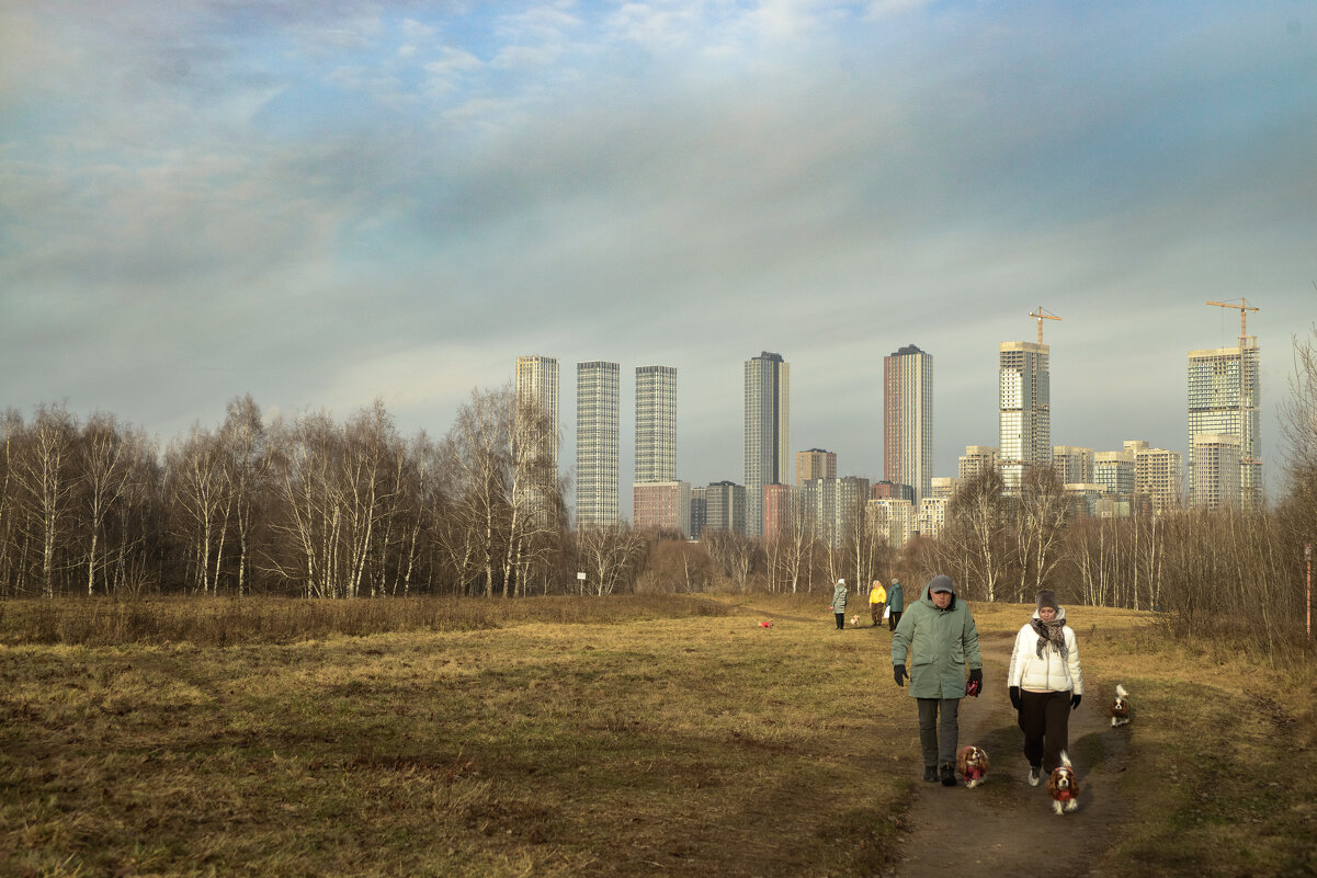 Ноябрь продолжается. - Николай Ноябрь продолжается. - Николай