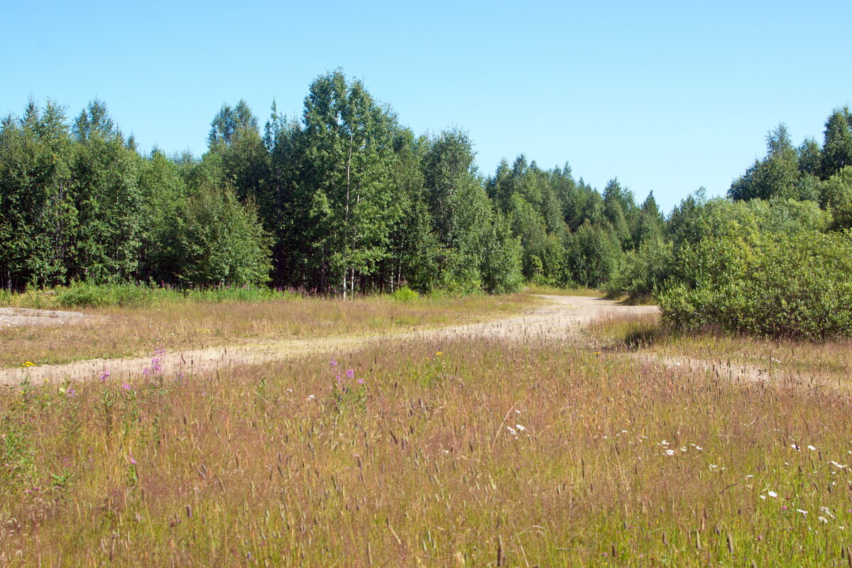 Северная природа. - ВикТор Быстров Северная природа. - ВикТор Быстров